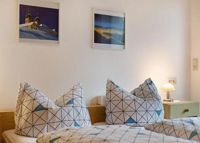 Apartmán Baerenhuesli *